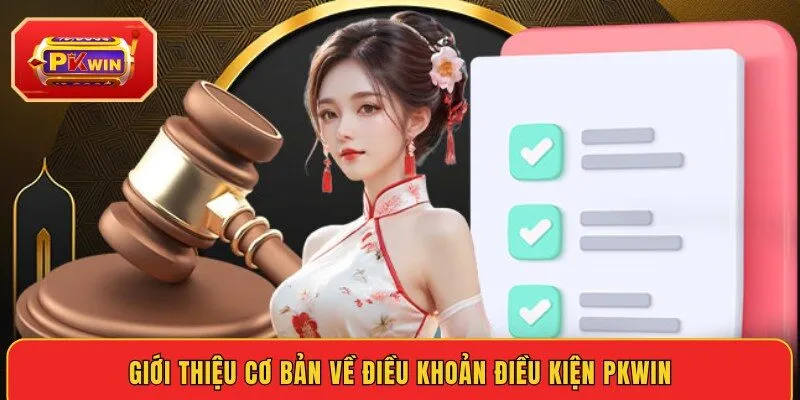 gioi-thieu-co-ban-ve-dieu-khoan-dieu-kien-pkwin