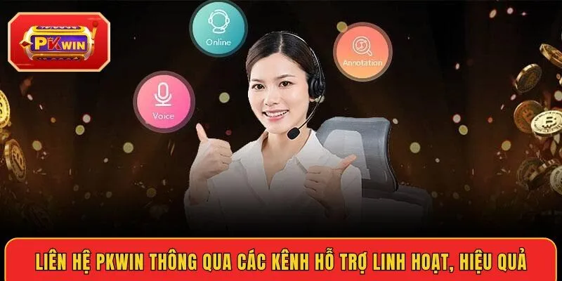 lien-he-pkwin-thong-qua-cac-kenh-ho-tro-linh-hoat-hieu-qua